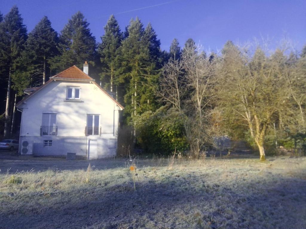 Vosges House 110 M2 In The Heart Of Nature L'Oree Du Bois Saint-Michel-sur-Meurthe Exterior photo