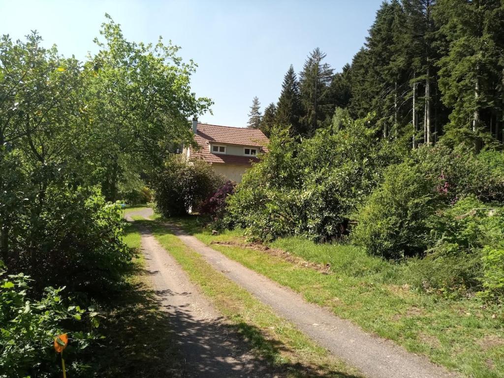 Vosges House 110 M2 In The Heart Of Nature L'Oree Du Bois Saint-Michel-sur-Meurthe Exterior photo